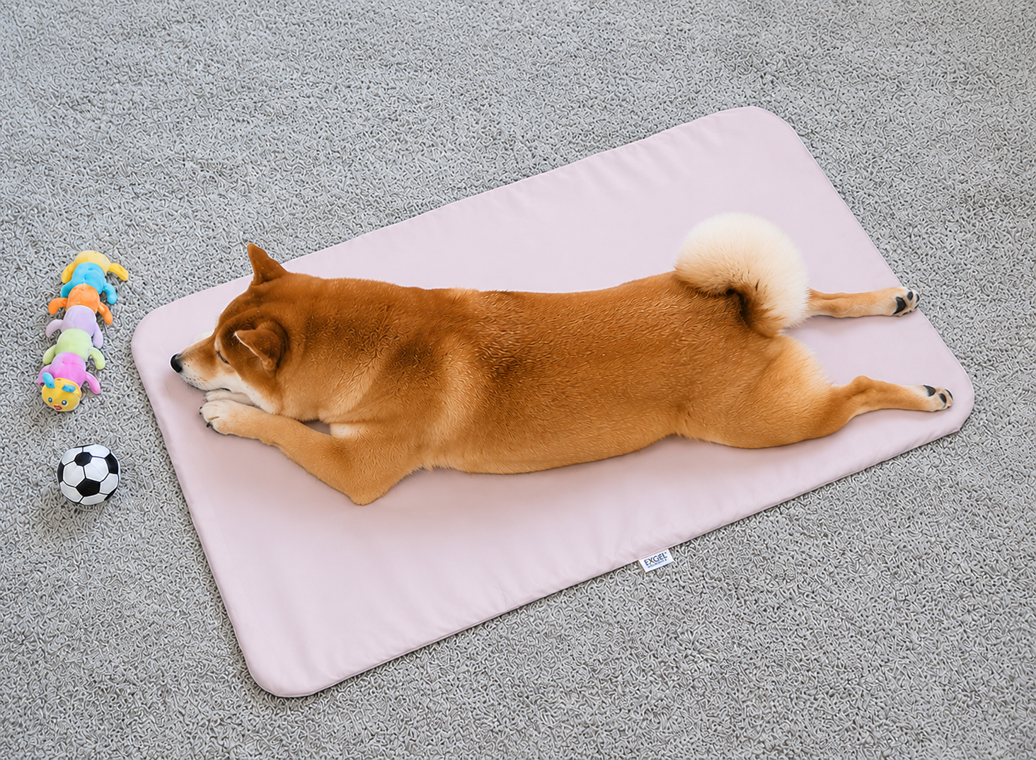 中～大型犬向け大小サイズ