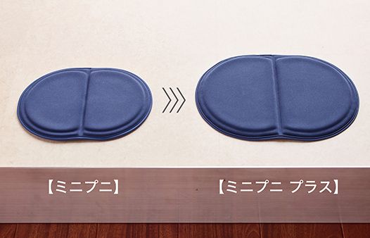 ミニプニプラス